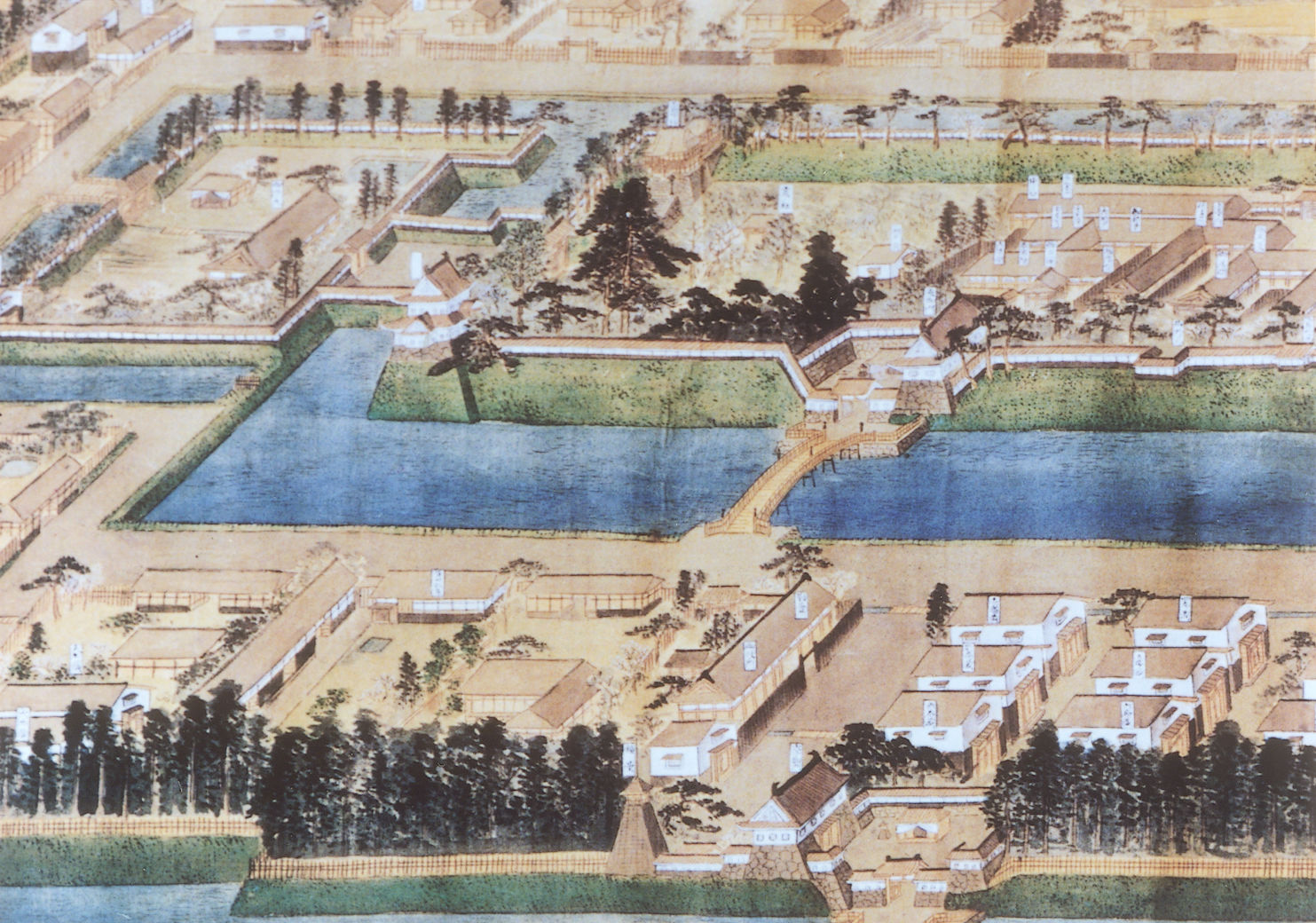 2-Z6-5.jpg